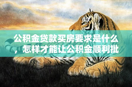 公积金贷款买房要求是什么，怎样才能让公积金顺利批下来