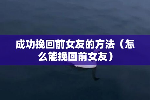 成功挽回前女友的方法（怎么能挽回前女友）