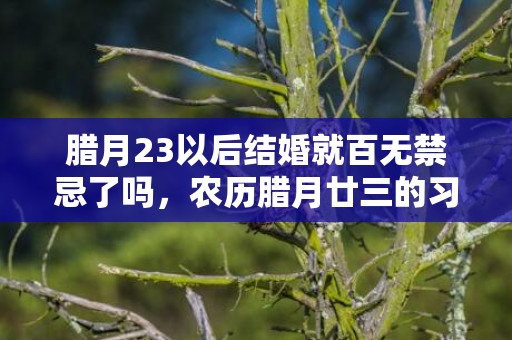 腊月23以后结婚就百无禁忌了吗，农历腊月廿三的习俗有什么