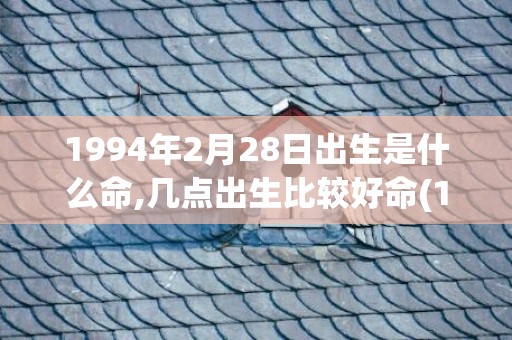 1994年2月28日出生是什么命,几点出生比较好命(1994年2月2日是什么星座)