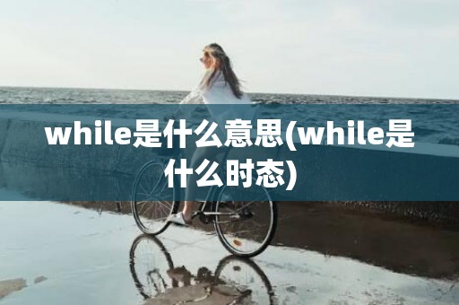 while是什么意思(while是什么时态)