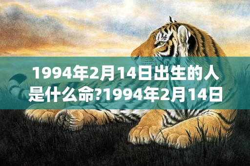 1994年2月14日出生的人是什么命?1994年2月14日生辰八字好吗(1994年2月15日阳历是多少)
