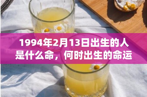 1994年2月13日出生的人是什么命，何时出生的命运比较好(1994年2月19日是什么星座?)