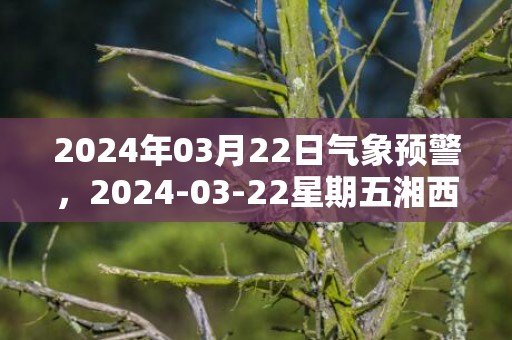 2024年03月22日气象预警，2024-03-22星期五湘西天气预报 大部阴转小雨