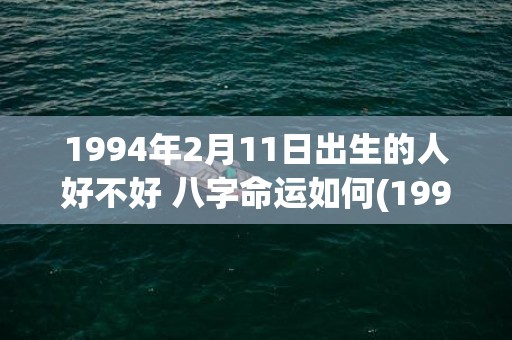 1994年2月11日出生的人好不好 八字命运如何(1994年2月13日)