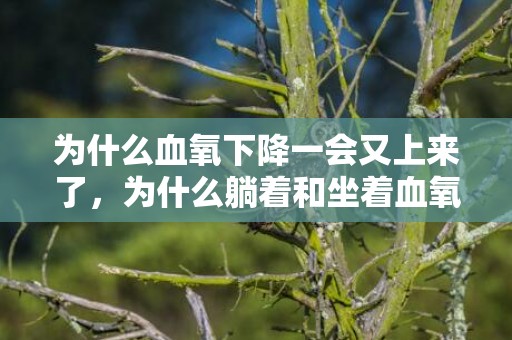 为什么血氧下降一会又上来了，为什么躺着和坐着血氧不一样
