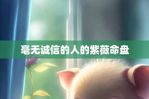 毫无诚信的人的紫薇命盘