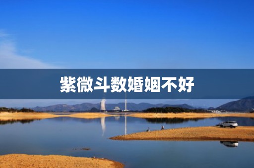 紫微斗数婚姻不好