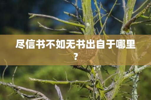 尽信书不如无书出自于哪里?