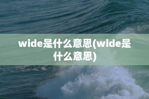 wide是什么意思(wide是什么意思)
