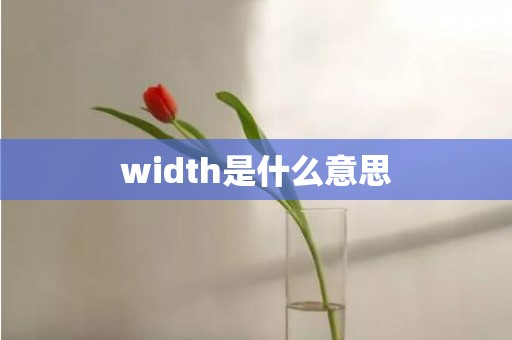 width是什么意思