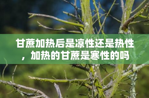 甘蔗加热后是凉性还是热性，加热的甘蔗是寒性的吗