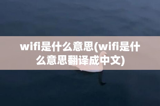 wifi是什么意思(wifi是什么意思翻译成中文)