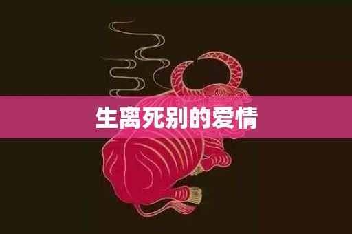 生离死别的爱情