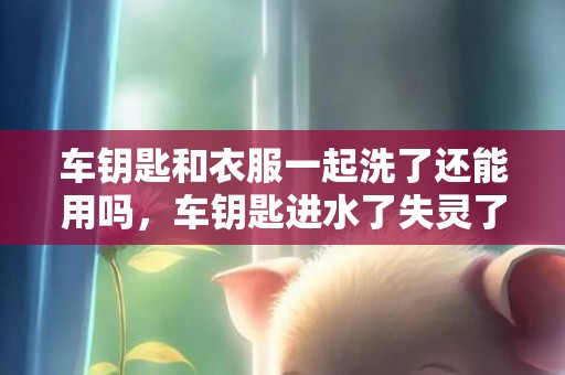 车钥匙和衣服一起洗了还能用吗，车钥匙进水了失灵了怎么办