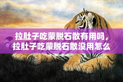 拉肚子吃蒙脱石散有用吗，拉肚子吃蒙脱石散没用怎么办