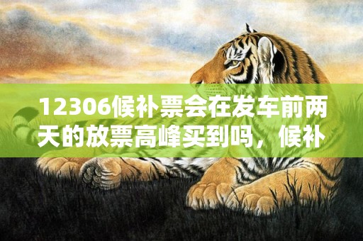 12306候补票会在发车前两天的放票高峰买到吗，候补票是不是火车站逐步放票