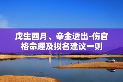 戊生酉月、辛金透出-伤官格命理及拟名建议一则