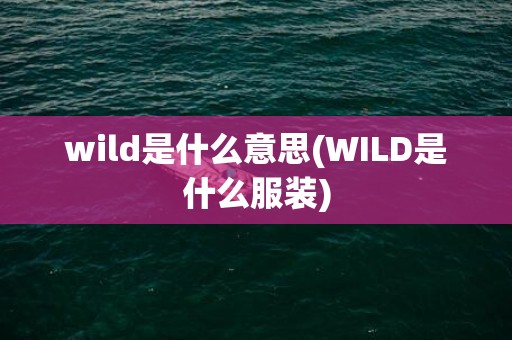 wild是什么意思(WILD是什么服装)