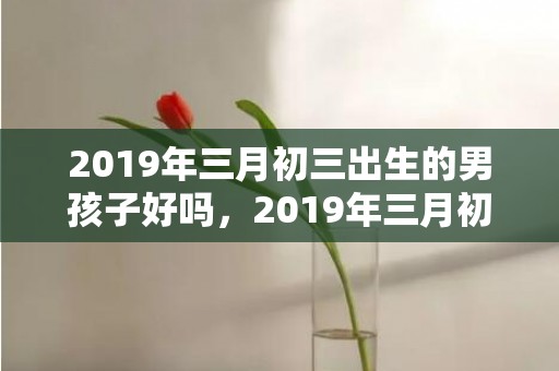 2019年三月初三出生的男孩子好吗，2019年三月初四出生的女孩如何起名字，五行属什么