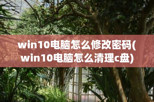 win10电脑怎么修改密码(win10电脑怎么清理c盘)