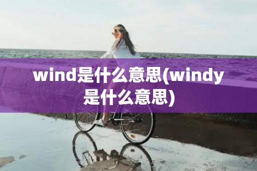wind是什么意思(windy是什么意思)
