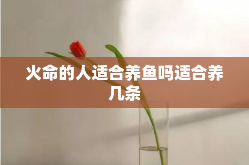 火命的人适合养鱼吗适合养几条