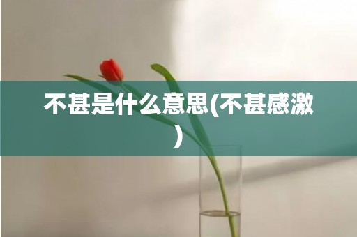 不甚是什么意思(不甚感激)