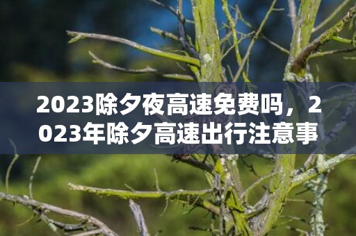 2023除夕夜高速免费吗，2023年除夕高速出行注意事项有哪些