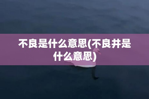 不良是什么意思(不良井是什么意思)