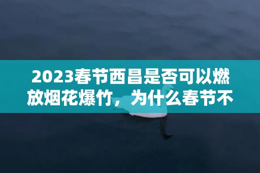 2023春节西昌是否可以燃放烟花爆竹，为什么春节不让放烟花