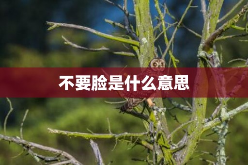 不要脸是什么意思