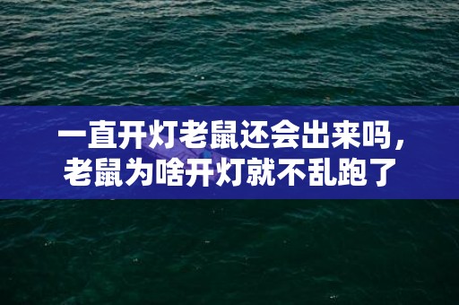 一直开灯老鼠还会出来吗，老鼠为啥开灯就不乱跑了