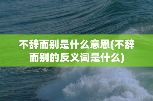 不辞而别是什么意思(不辞而别的反义词是什么)