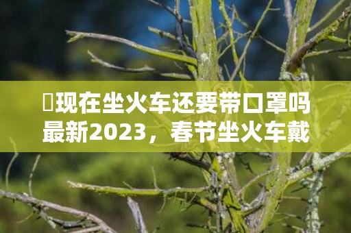 ​现在坐火车还要带口罩吗最新2023，春节坐火车戴口罩要注意什么