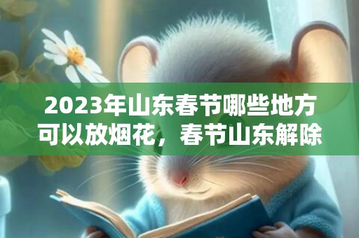 2023年山东春节哪些地方可以放烟花，春节山东解除烟花禁放令了吗