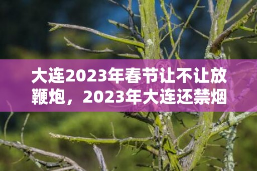 大连2023年春节让不让放鞭炮，2023年大连还禁烟花吗​