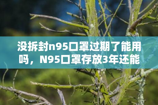 没拆封n95口罩过期了能用吗，N95口罩存放3年还能用吗