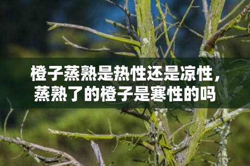 橙子蒸熟是热性还是凉性，蒸熟了的橙子是寒性的吗