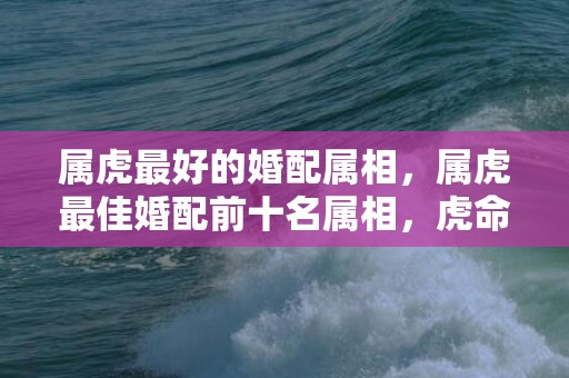 属虎最好的婚配属相，属虎最佳婚配前十名属相，虎命中注定的另一半是谁