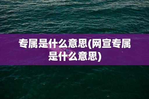 专属是什么意思(网宣专属是什么意思)