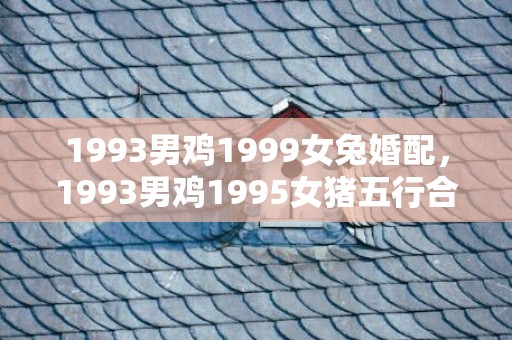 1993男鸡1999女兔婚配，1993男鸡1995女猪五行合不合，鸡与猪能结婚吗