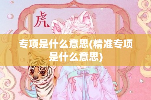 专项是什么意思(精准专项是什么意思)