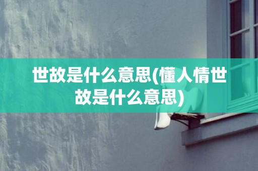 世故是什么意思(懂人情世故是什么意思)