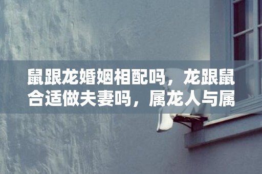 鼠跟龙婚姻相配吗，龙跟鼠合适做夫妻吗，属龙人与属鼠人婚配指数