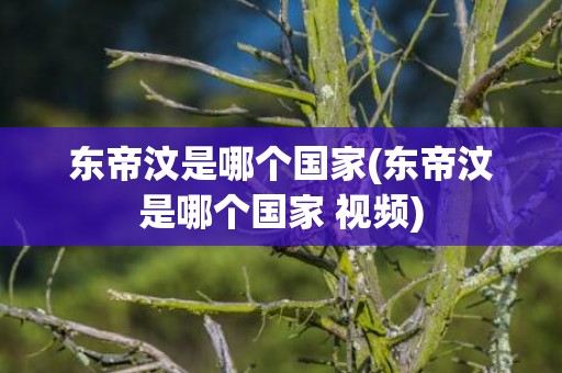 东帝汶是哪个国家(东帝汶是哪个国家 视频)