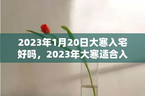 2023年1月20日大寒入宅好吗，2023年大寒适合入宅的生肖有几天