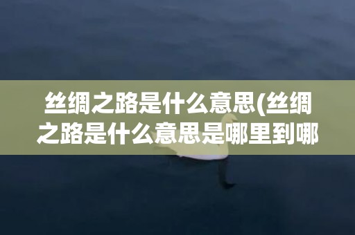 丝绸之路是什么意思(丝绸之路是什么意思是哪里到哪里其中一的作用是什么)