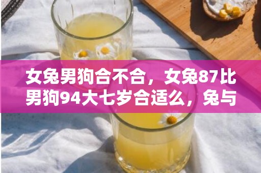 女兔男狗合不合，女兔87比男狗94大七岁合适么，兔与狗合适结婚吗