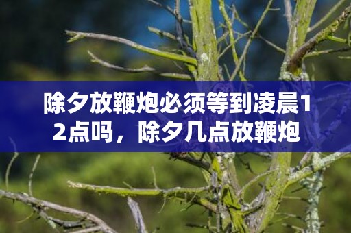 除夕放鞭炮必须等到凌晨12点吗，除夕几点放鞭炮